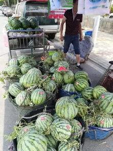 杭州吃瓜网红事件