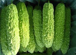 吃瓜网不卡,畅享无障碍娱乐新体验