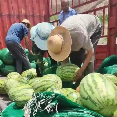 金乡吃瓜网51爆料金乡,揭秘金乡热点事件背后的真相！